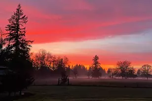 8000 NE 211th Ave, Vancouver, WA 98682 - Photo 48