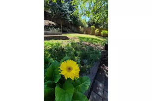 1343 NW Vallejo Dr, Roseburg, OR 97471 - Photo 30