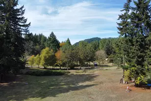 48838 McFarland Rd, Oakridge, OR 97463 - Photo 48
