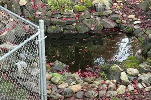 2242 N M St, Washougal, WA 98671 - Photo 30