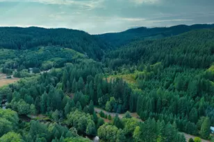 36760 Upper Nestucca River Rd, Beaver, OR 97108 - Photo 36