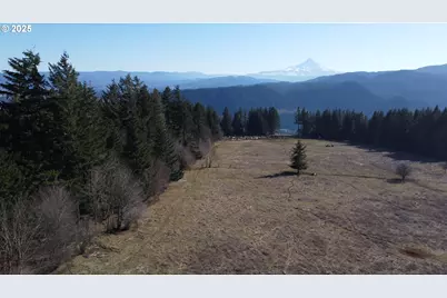 Cook Underwood Rd, Underwood, WA 98651 - Photo 8