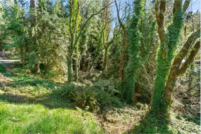 13136 NE Sumac Ct, Brush Prairie, WA 98606 - Photo 48