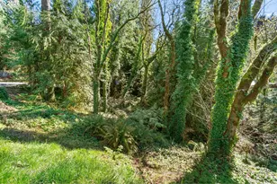 13136 NE Sumac Ct, Brush Prairie, WA 98606 - Photo 48