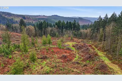 Nw Pumpkin Ridge Rd, North Plains, OR 97133 - Photo 12