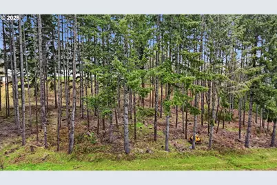 Nw Pumpkin Ridge Rd, North Plains, OR 97133 - Photo 4
