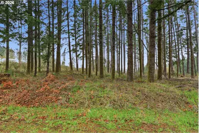 Nw Pumpkin Ridge Rd, North Plains, OR 97133 - Photo 1