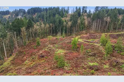 Nw Pumpkin Ridge Rd, North Plains, OR 97133 - Photo 10