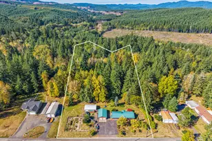 213 W 2nd St, Ryderwood, WA 98581 - Photo 6