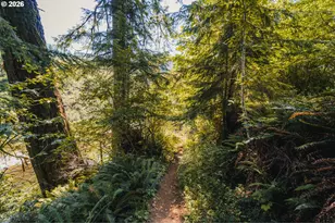 20365 Wilson River Hwy, Tillamook, OR 97141 - Photo 16