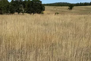 3 Horst Ln, Goldendale, WA 98620 - Photo 40