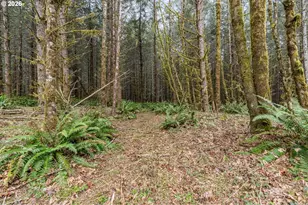 22994 Red Oak Ln, Veneta, OR 97487 - Photo 12