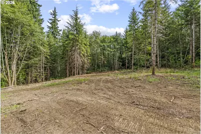 217 Durins Pl, Castle Rock, WA 98611 - Photo 6