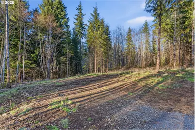 217 Durins Pl, Castle Rock, WA 98611 - Photo 10