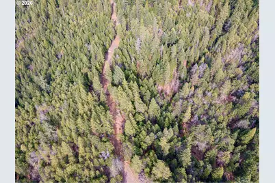 Pleasant Cr Rd, Rogue River, OR 97537 - Photo 16