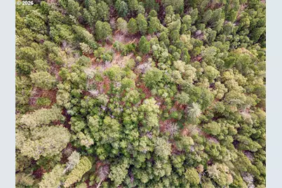 Pleasant Cr Rd, Rogue River, OR 97537 - Photo 10