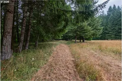 36435 Devitt Rd, Blodgett, OR 97326 - Photo 46