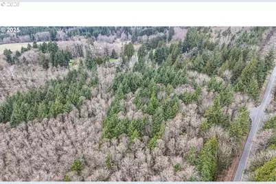 Neer City Rd, Rainier, OR 97048 - Photo 6