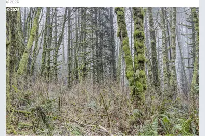 Neer City Rd, Rainier, OR 97048 - Photo 4