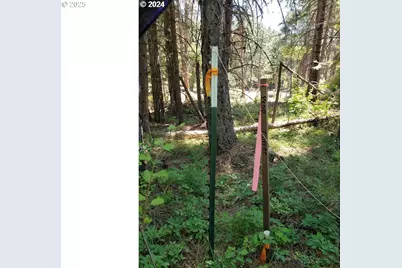 Sleepy Hollow Rd, Lyle, WA 98635 - Photo 10