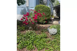 570 N 10th Ave, Cornelius, OR 97113 - Photo 10