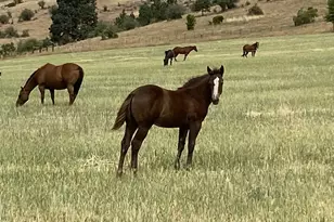 61615 High Valley Rd, Union, OR 97883 - Photo 36