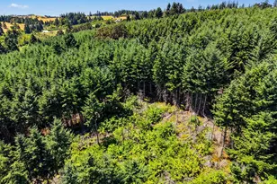 7235 Bates Rd S, Salem, OR 97306 - Photo 42