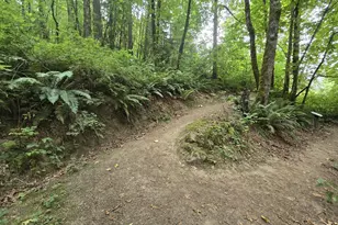 9908 SE Talbert St, Clackamas, OR 97015 - Photo 28