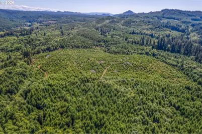 Eden Valley Rd, Rosburg, WA 98643 - Photo 10