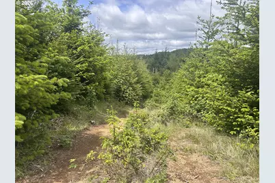 Eden Valley Rd, Rosburg, WA 98643 - Photo 4