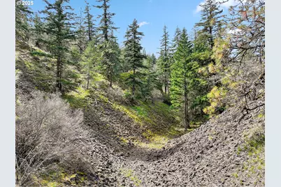 Asher Street #37, Mosier, OR 97040 - Photo 32