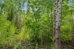 730 NW 185th Ave, Beaverton, OR 97006 - Photo 34