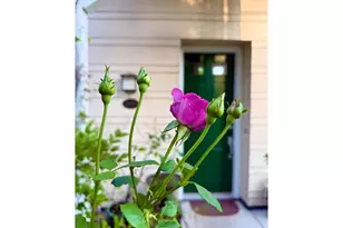 2608 SW Hume Ct, Portland, OR 97219 - Photo 38