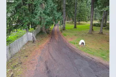 38269 Lower Brice Creek Rd, Dorena, OR 97434 - Photo 34
