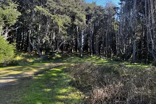 94444 Linda Ln, Gold Beach, OR 97444 - Photo 22