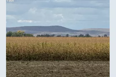 4465 Oak Rd, Ontario, OR 97914 - Photo 4