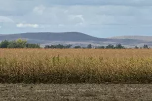 4465 Oak Rd, Ontario, OR 97914 - Photo 4