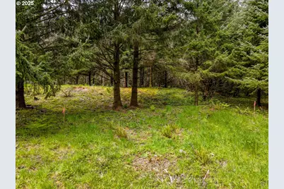 11119 Pacific Way, Long Beach, WA 98631 - Photo 16