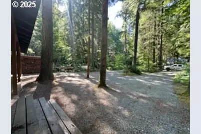 Cabin 62 Northwoods, Cougar, WA 98616 - Photo 2