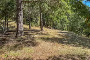 27001 State Hwy 42, Camas Valley, OR 97416 - Photo 18