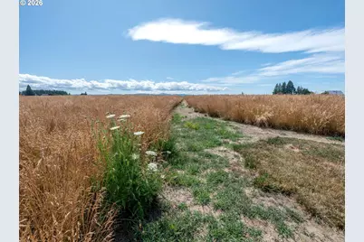 Nw Scotch Church Rd, Hillsboro, OR 97124 - Photo 4