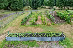 133 Lavender Ln, Cinebar, WA 98533 - Photo 12