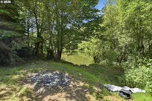 46760 Hwy 242, Myrtle Point, OR 97458 - Photo 40