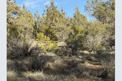 Canvasback Dr #35, Bonanza, OR 97623 - Photo 48