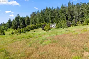49 Echo Glen Rd, White Salmon, WA 98672 - Photo 44