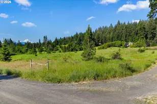 49 Echo Glen Rd, White Salmon, WA 98672 - Photo 46