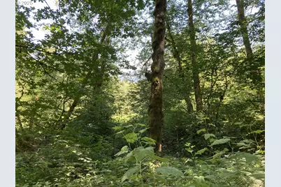 Ne 197th Ct, Amboy, WA 98601 - Photo 2