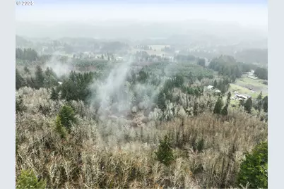 Ne 197th Ct, Amboy, WA 98601 - Photo 14