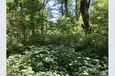 Ne 197th Ct, Amboy, WA 98601 - Photo 6