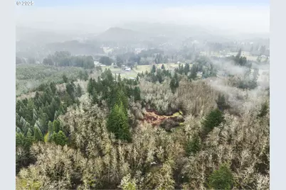 Ne 197th Ct, Amboy, WA 98601 - Photo 12